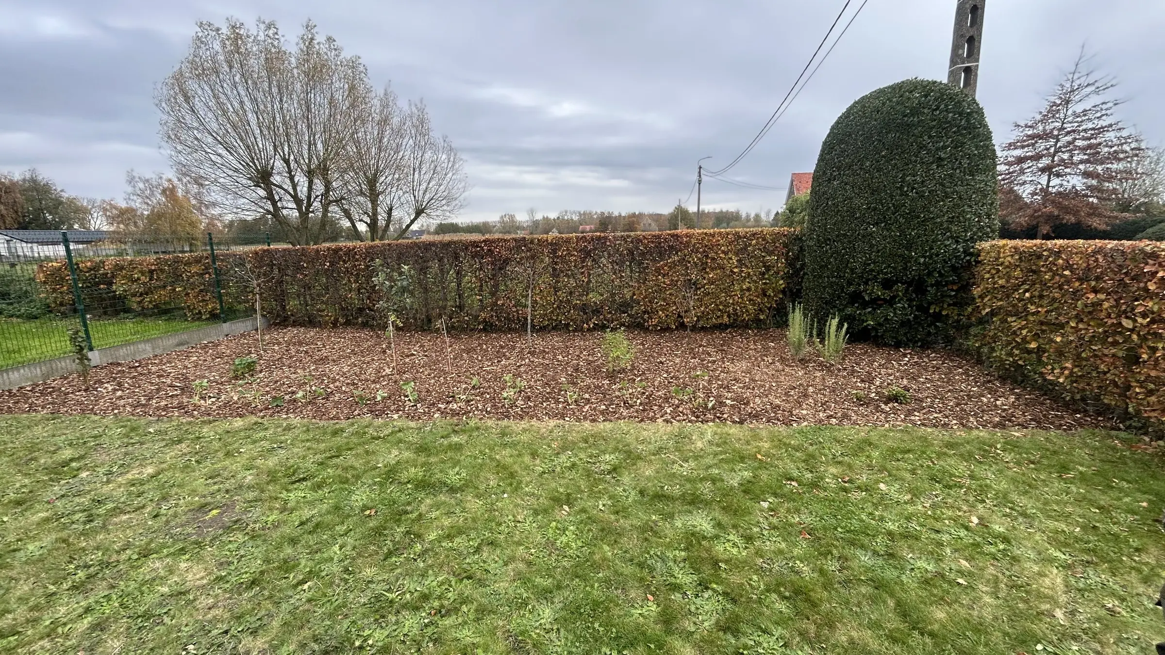 Bedding met mulch langs een bestaande haag en gazon