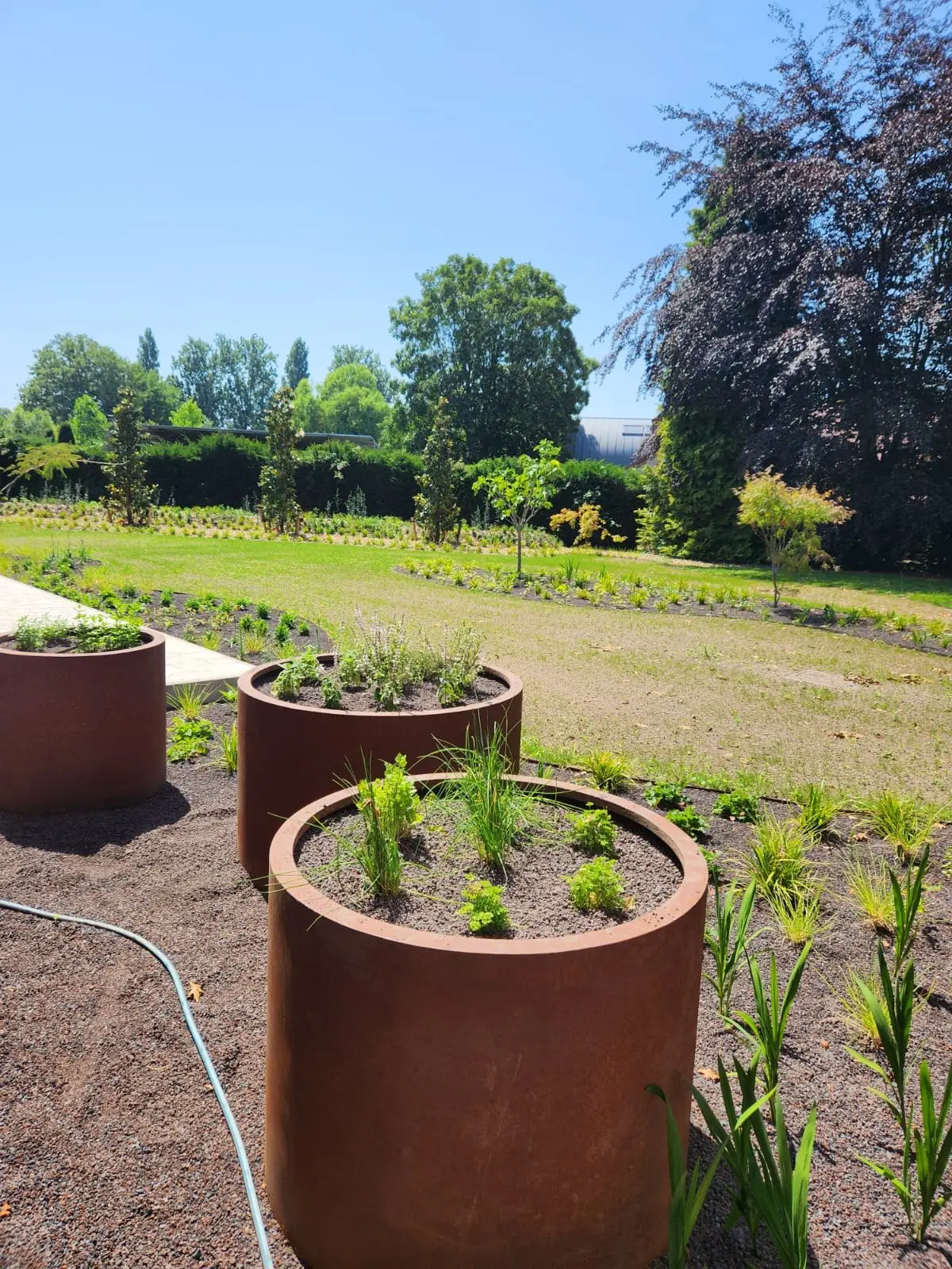 Cortenstalen plantenbakken met planten naast een grasperk