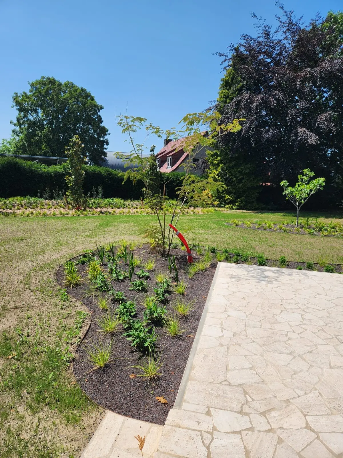 Golvende border met jonge planten langs het terras