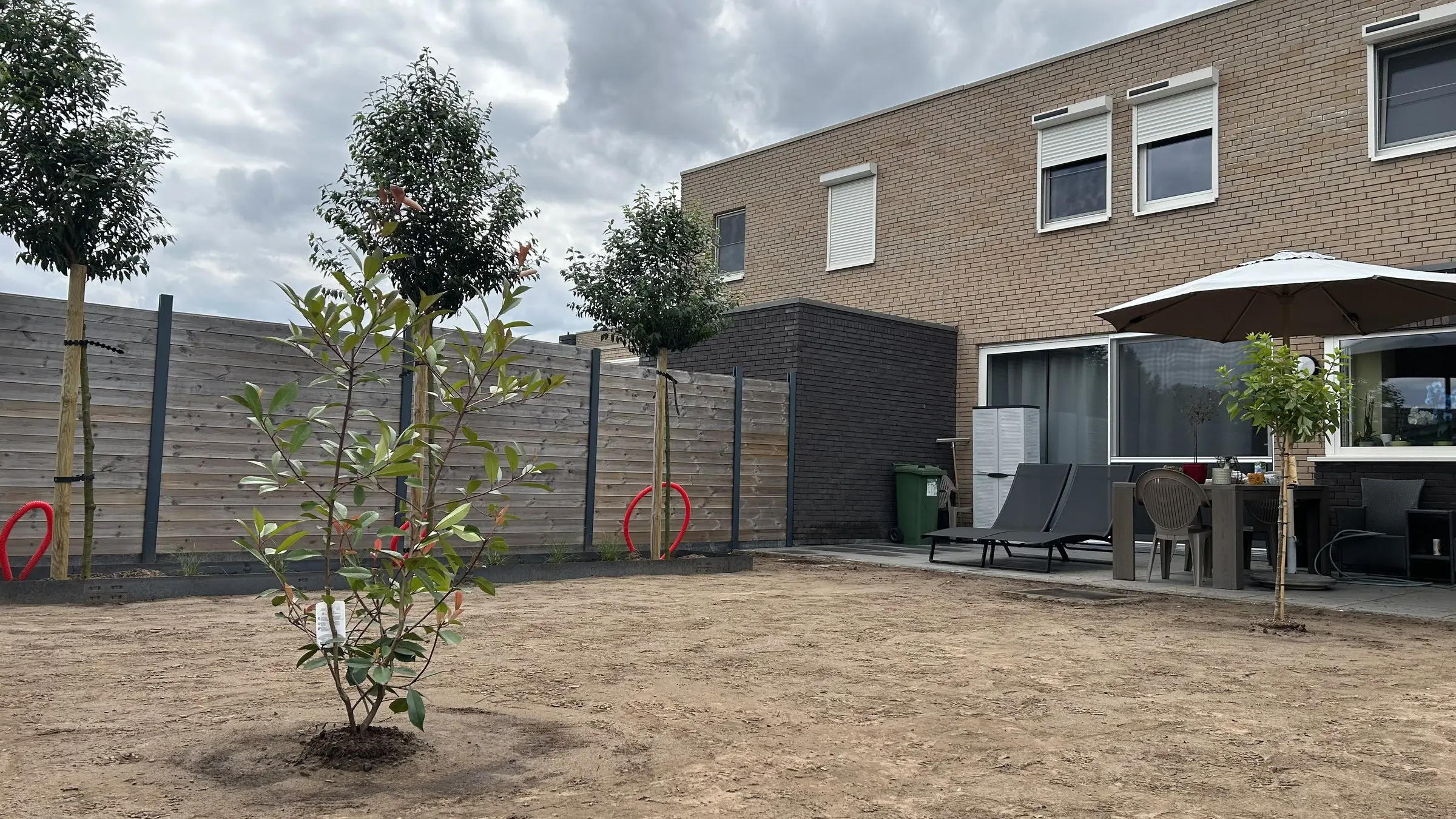Jonge boom en beplanting voor het huis