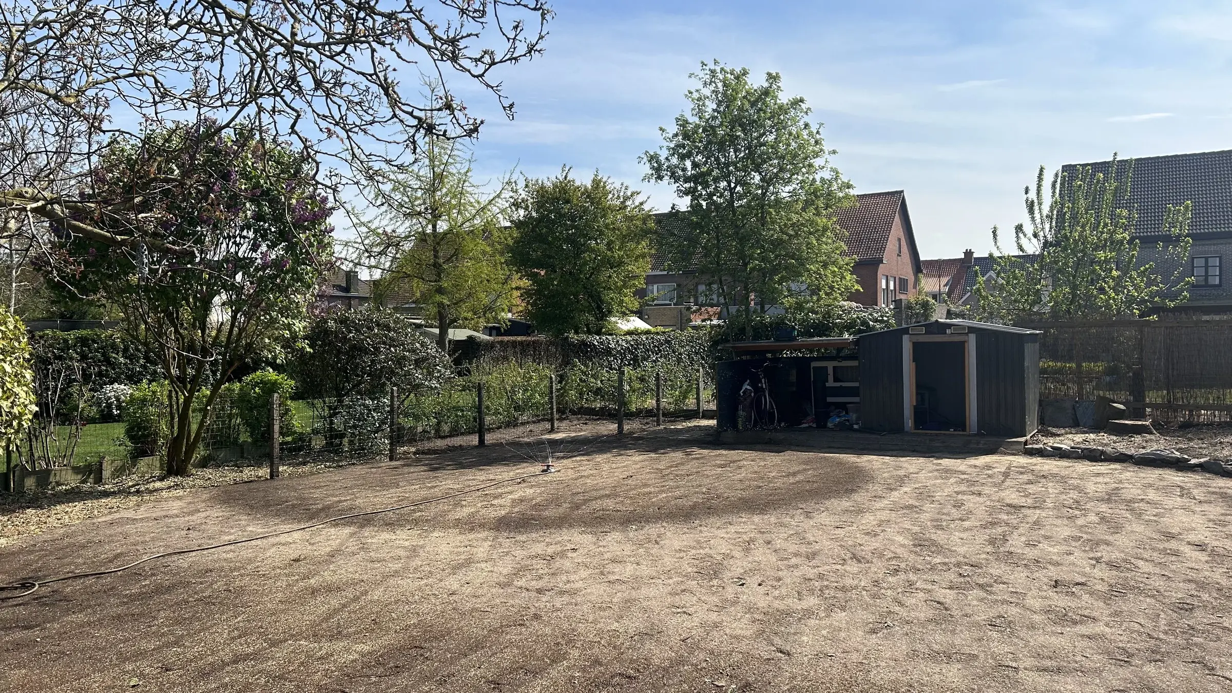 Vernieuwde tuin met nieuw gazon