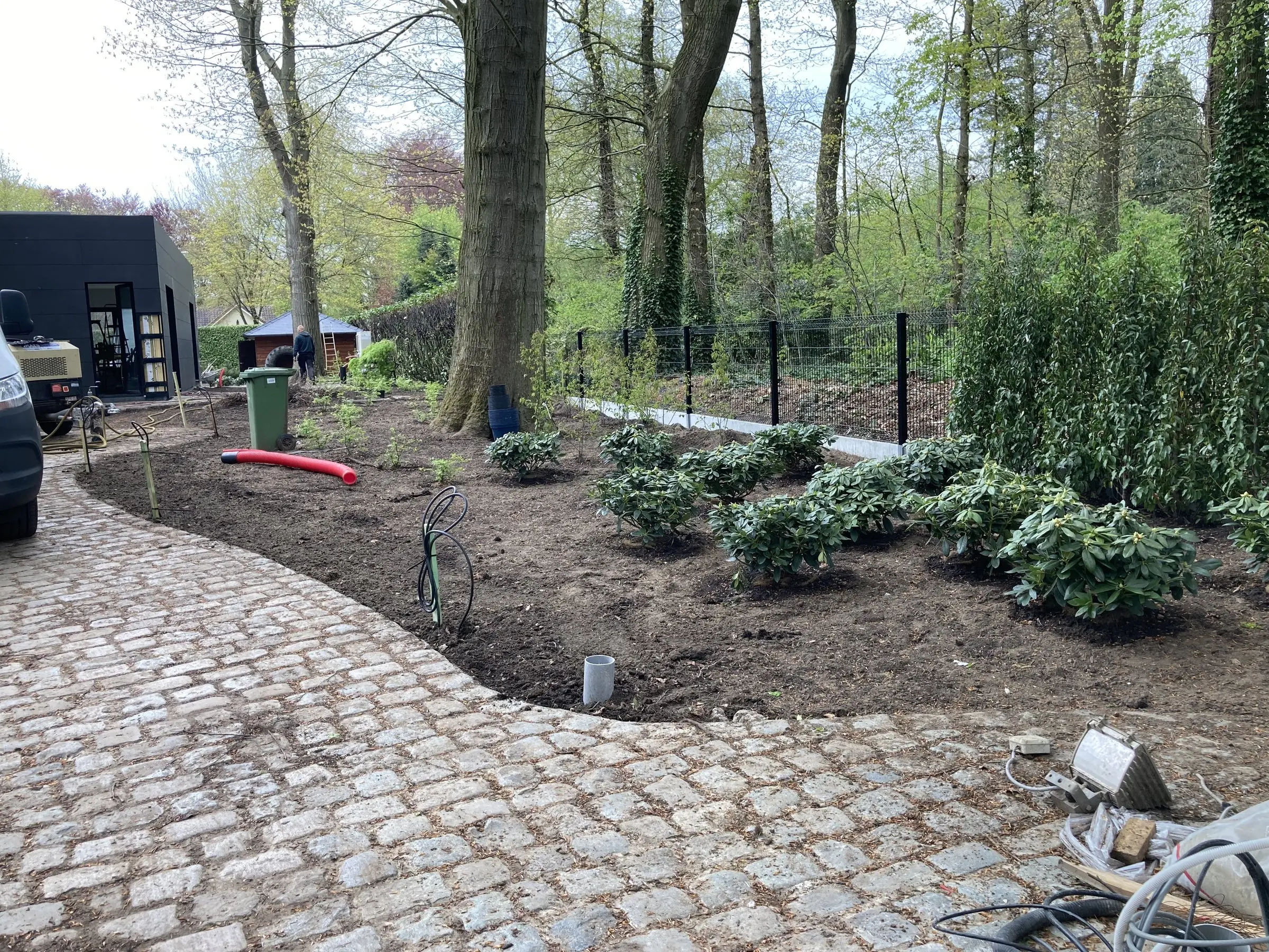 Rododendrons langs het golvende kasseipad
