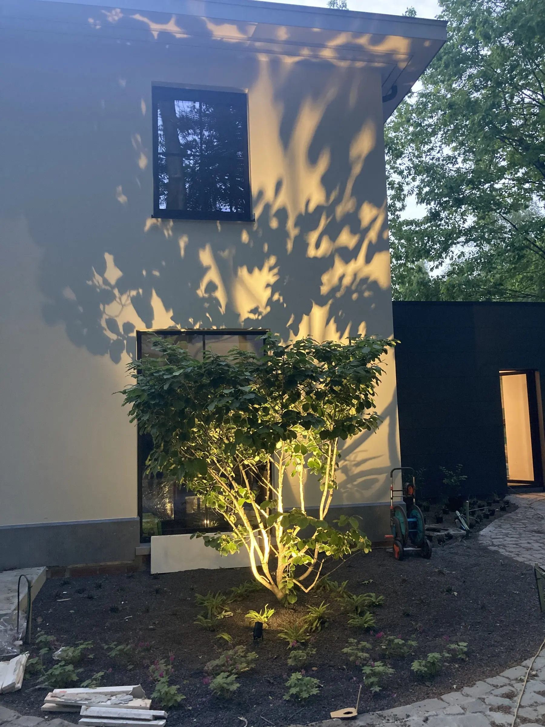 Verlichte meerstammige boom aan de gevel bij avond